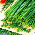 Chives, 4 pack