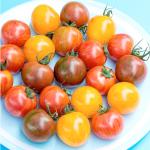 Tomatoes, Cherry, Bumblee Mix/ Tomatoes, pequ, mez